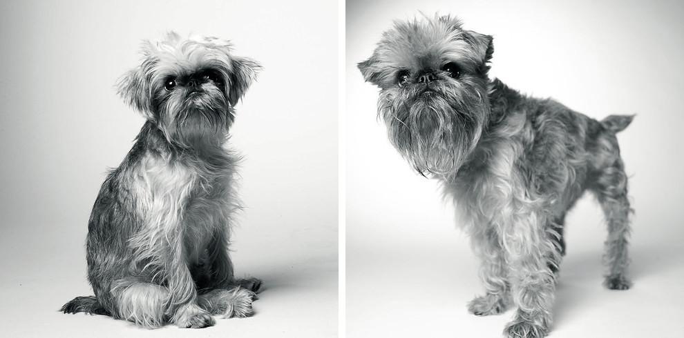 amanda_jones_dog_years_photography_book_then_and_now_07