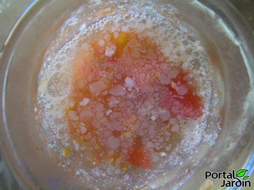 Extracción y guardado de semillas. Portal Jardín.