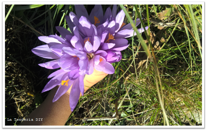 4-la-tenderia-diy_jaca_huesca