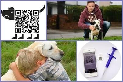 recuperar mi perro robado