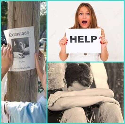 pedir ayuda para encontrar a tu mascota