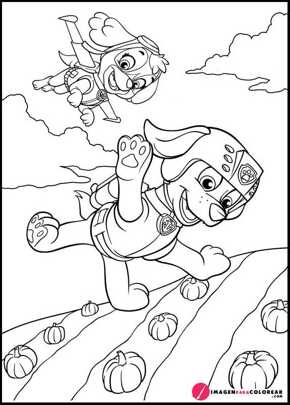 Volando La Patrulla Canina Para Colorear