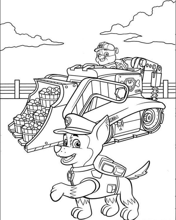 trabajando-la-patrulla-canina-para-colorear