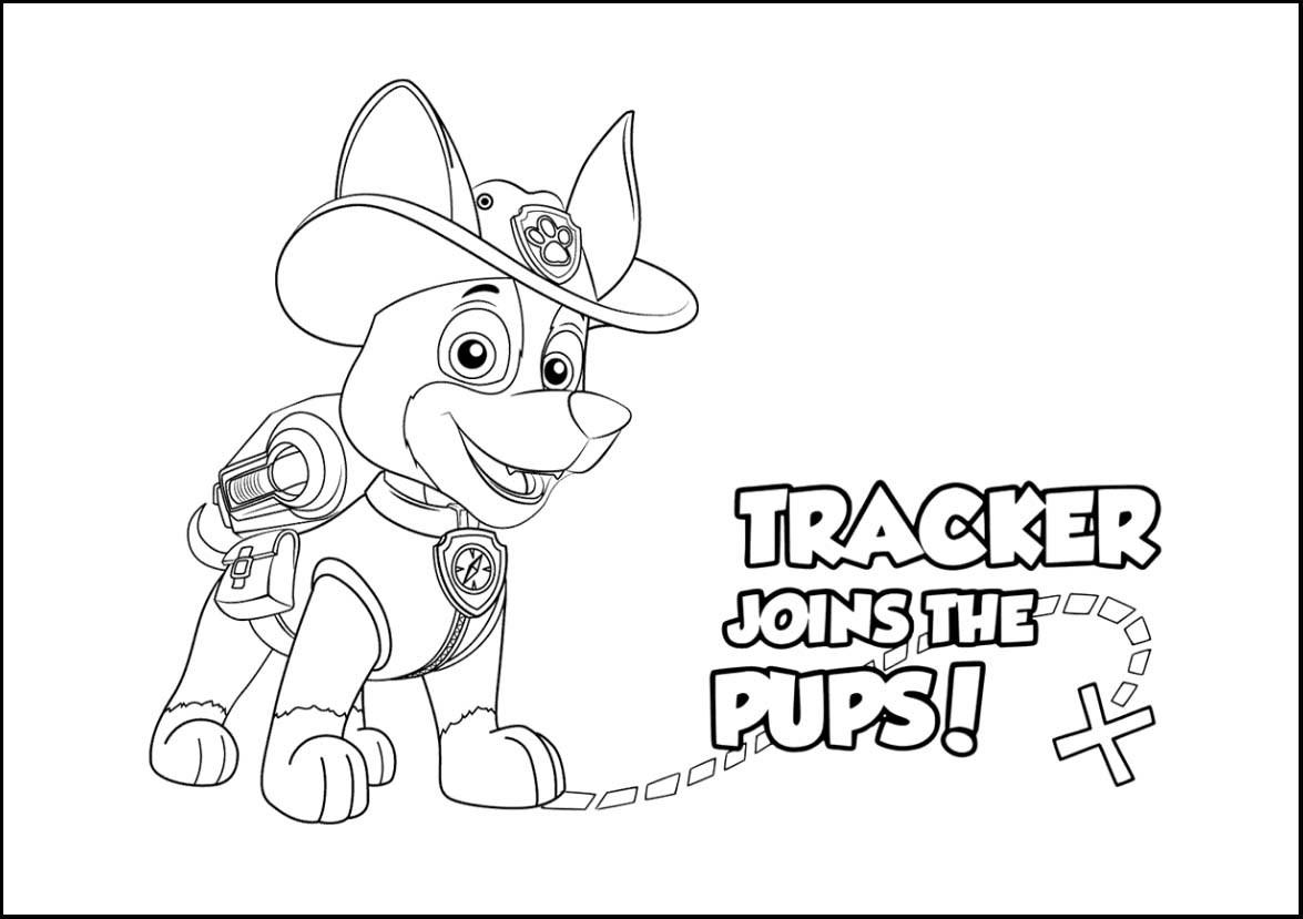 Nuevo Tracker La Patrulla Canina Para Colorear