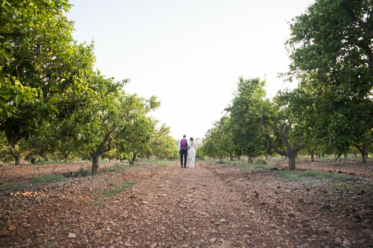 boda mallorca bodega