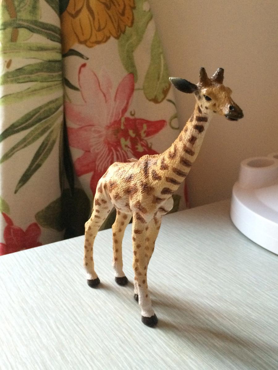 Primer plano de la jirafa