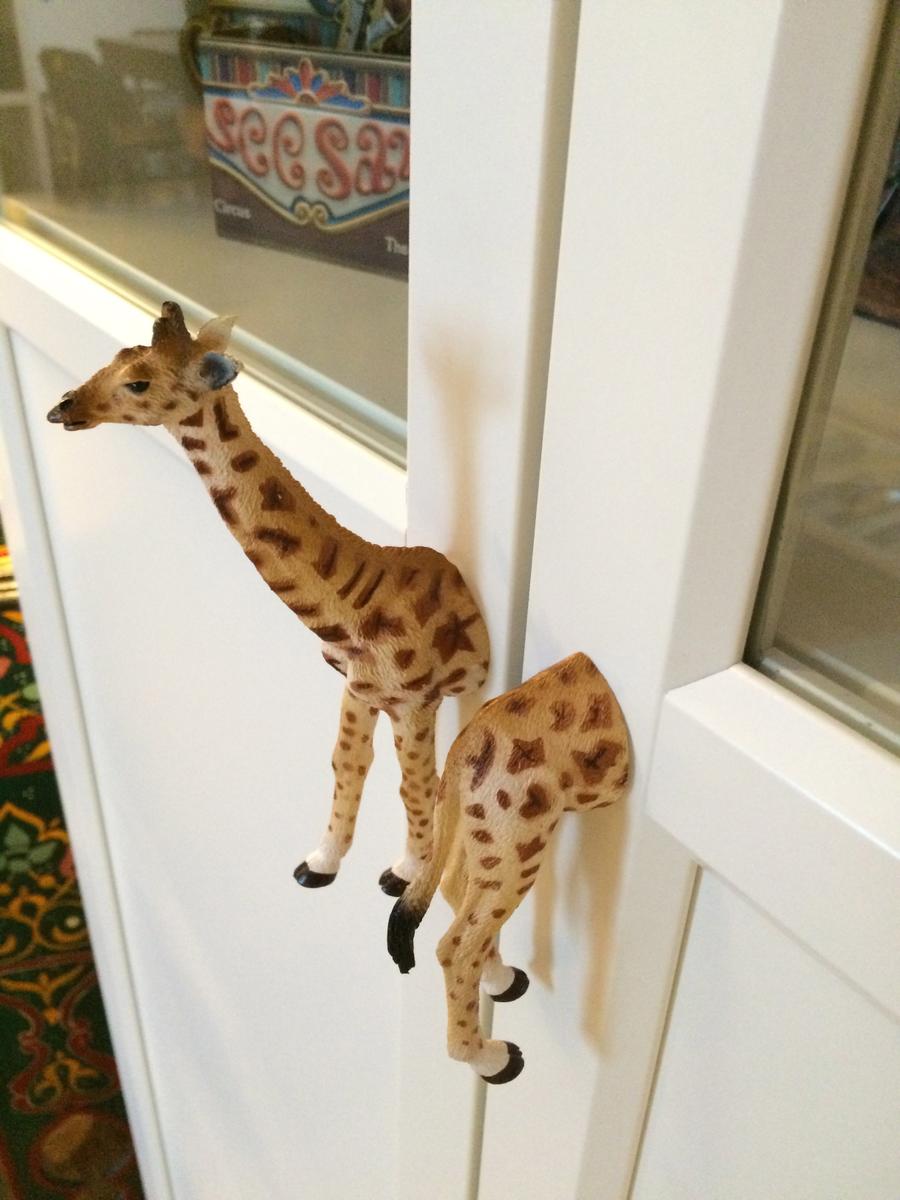 Vista detalle Jirafa