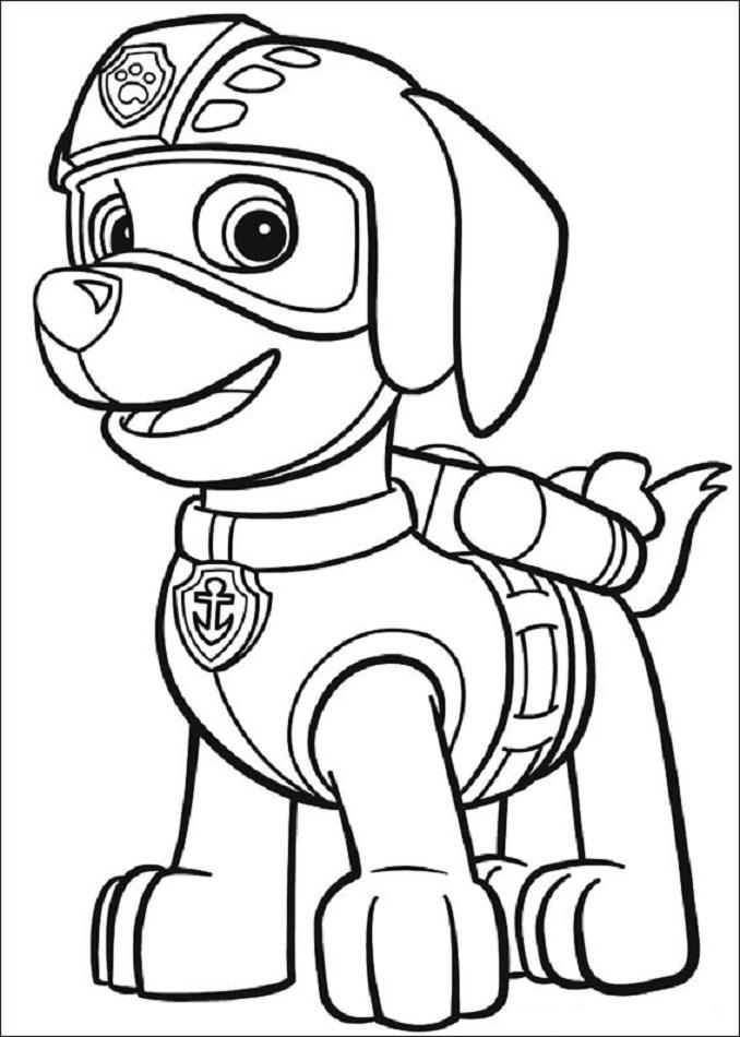 zuma-para-colorear-la-patrulla-canina