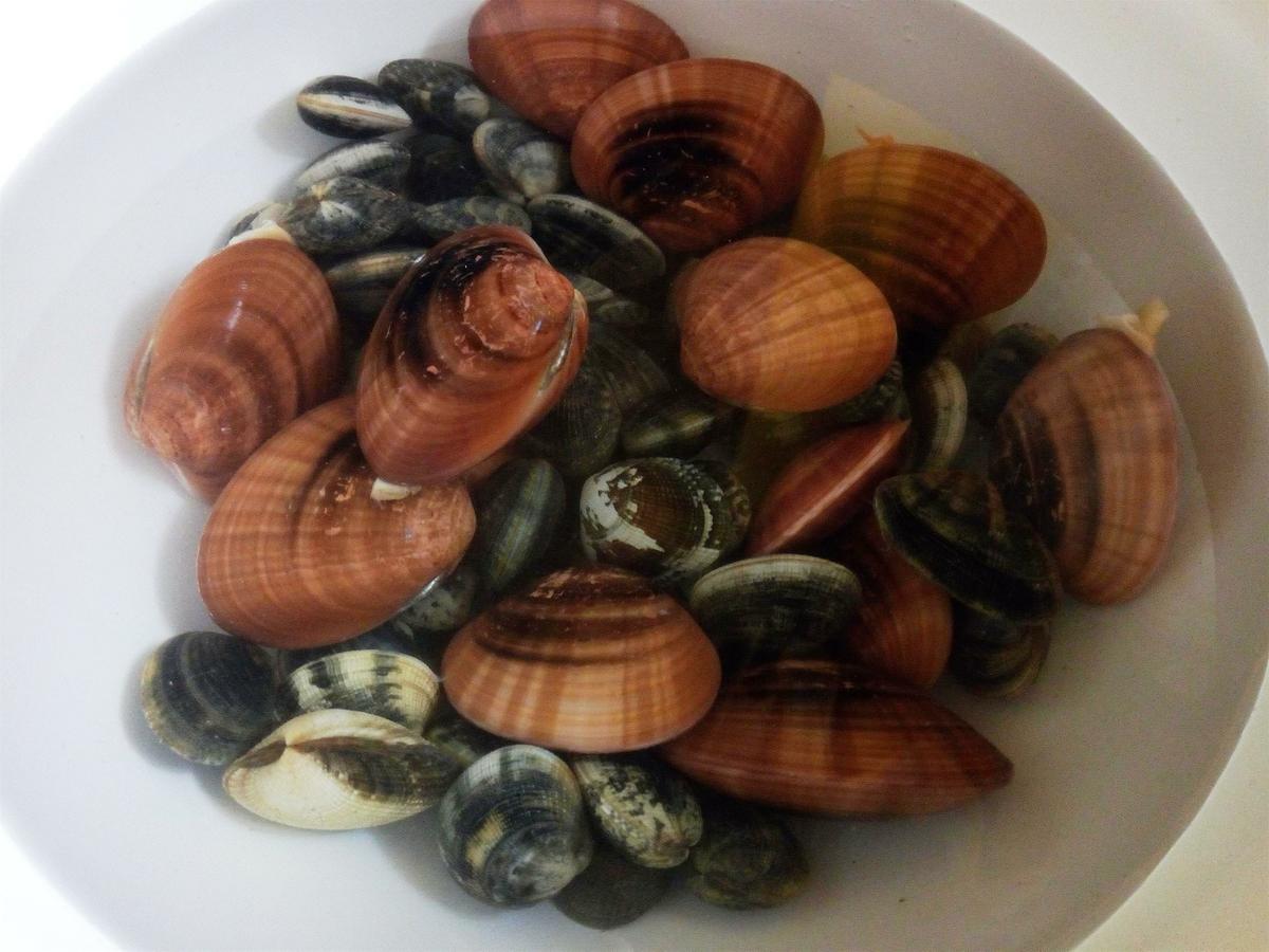 scialatiellialmejasconchafinas1