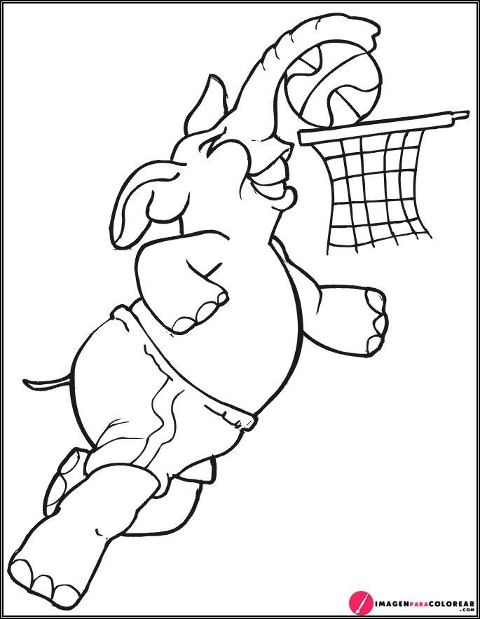 36 Imagen Baloncesto Para Pintar