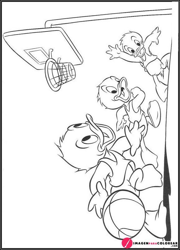 38 Imagen Baloncesto Para Pintar