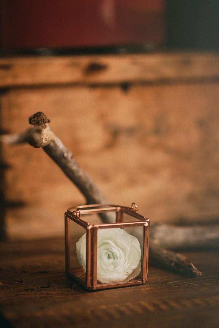 elopement campestre twinarrows