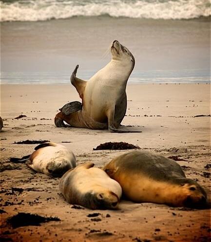 Cómo Amar Tu Cuerpo Aunque Te Sientas Gorda | Fabi Maravilla