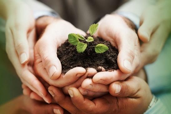 pacto global foro
