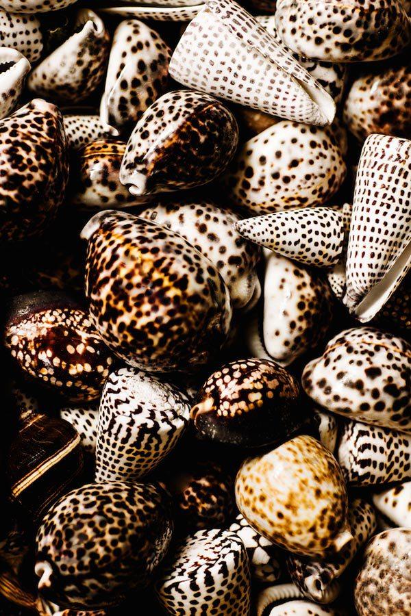 allyoursites-contrario-minimalismo-10