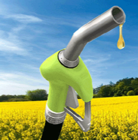 biodiesel