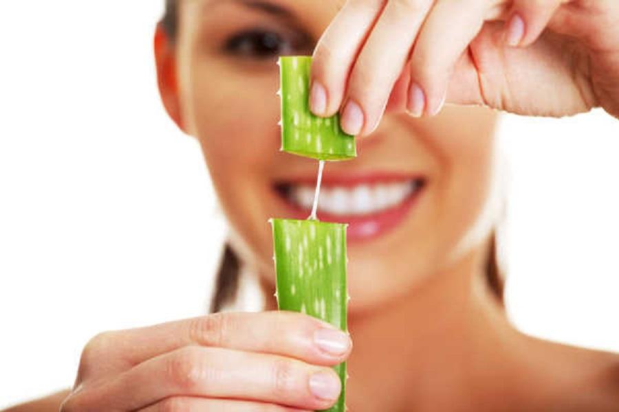 Aloe vera para el cabello beneficios y propiedades