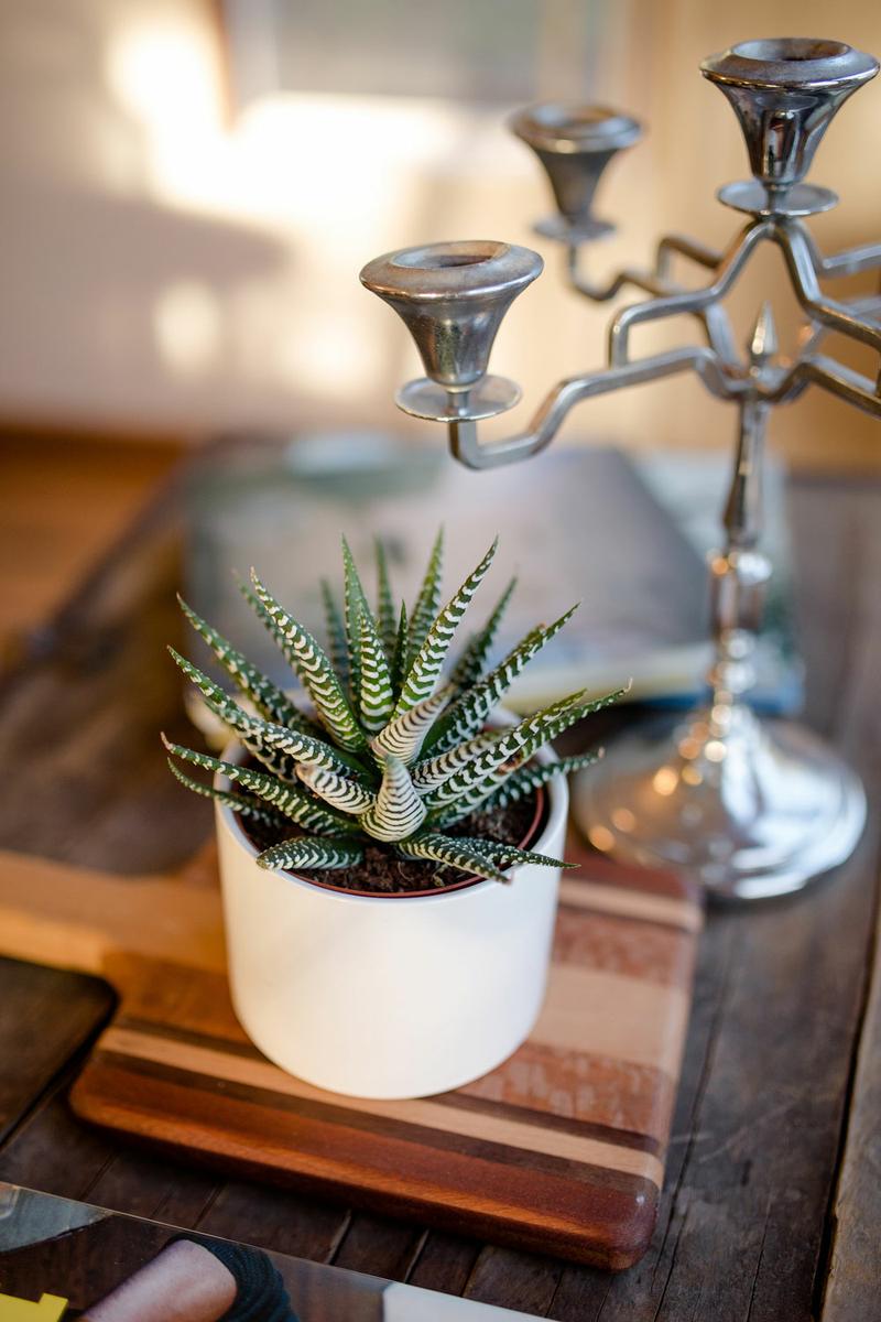 deway_nelumpkin_design_studio_22