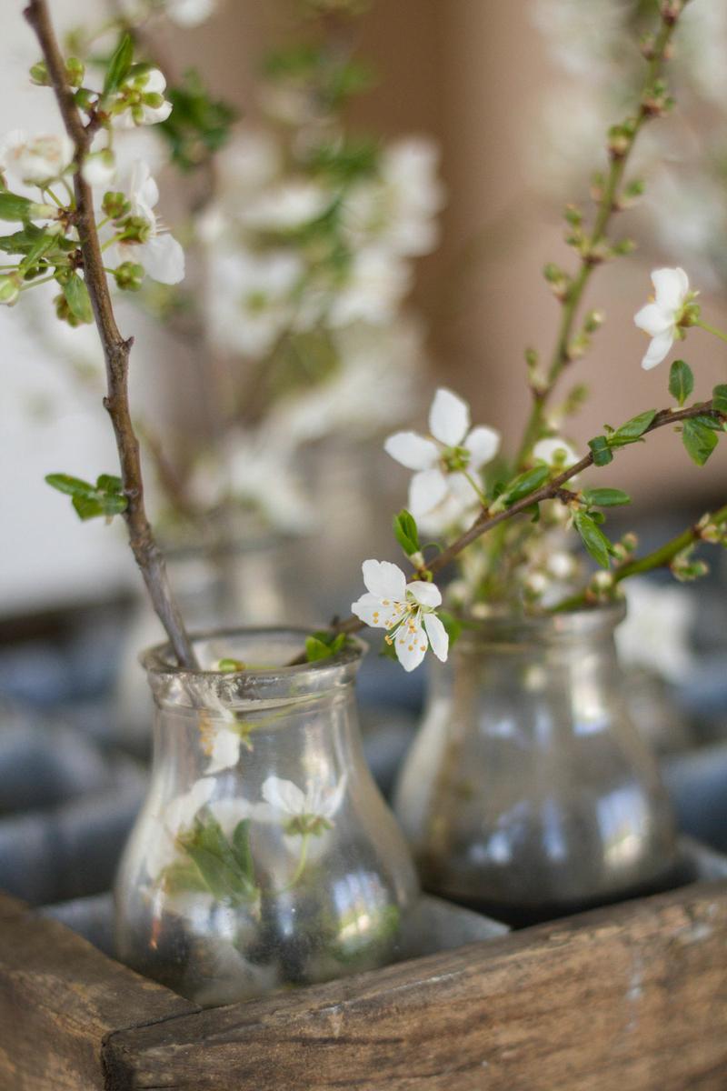 deway_nelumpkin_design_studio_7