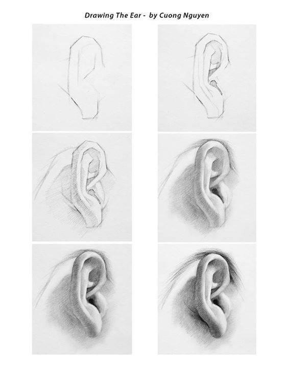 dibujo-de-las-orejas-de-una-mujer