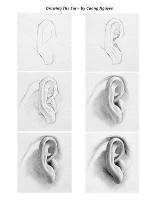 dibujo-de-las-orejas-de-una-mujer