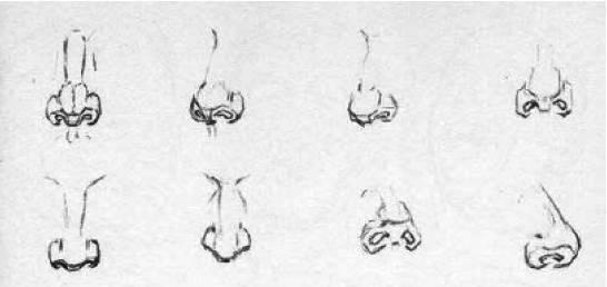 dibujar-la-nariz-de-un-hombre