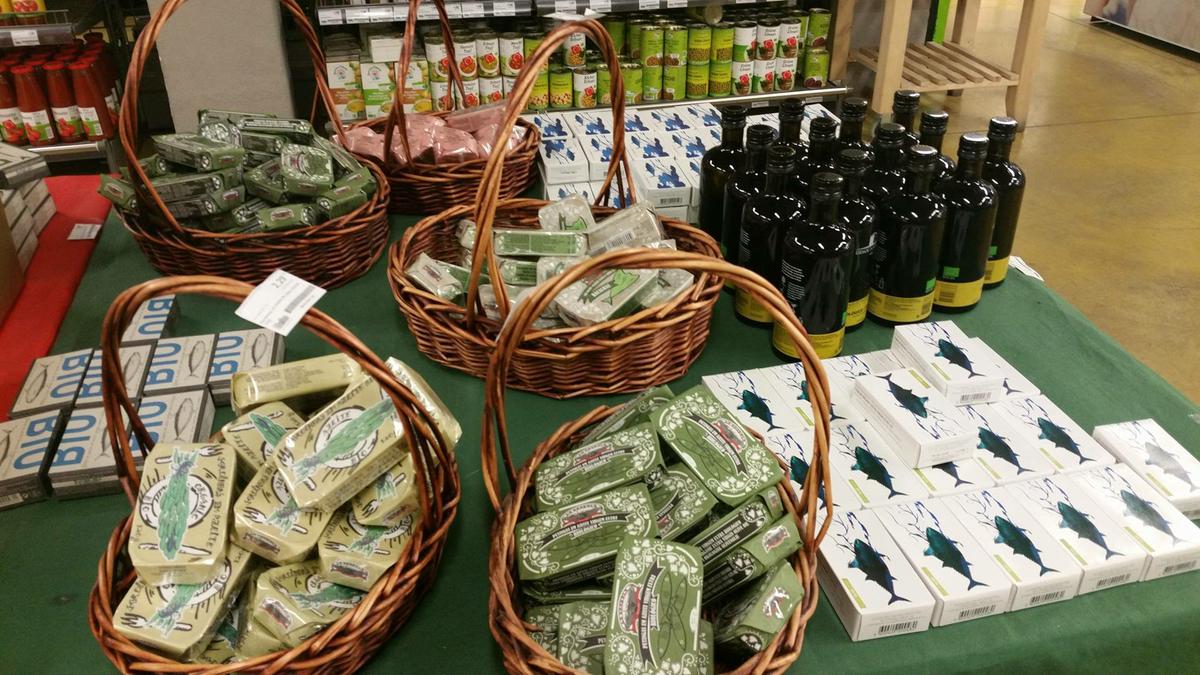 13694053_10210126827072823_1418024207_o-1