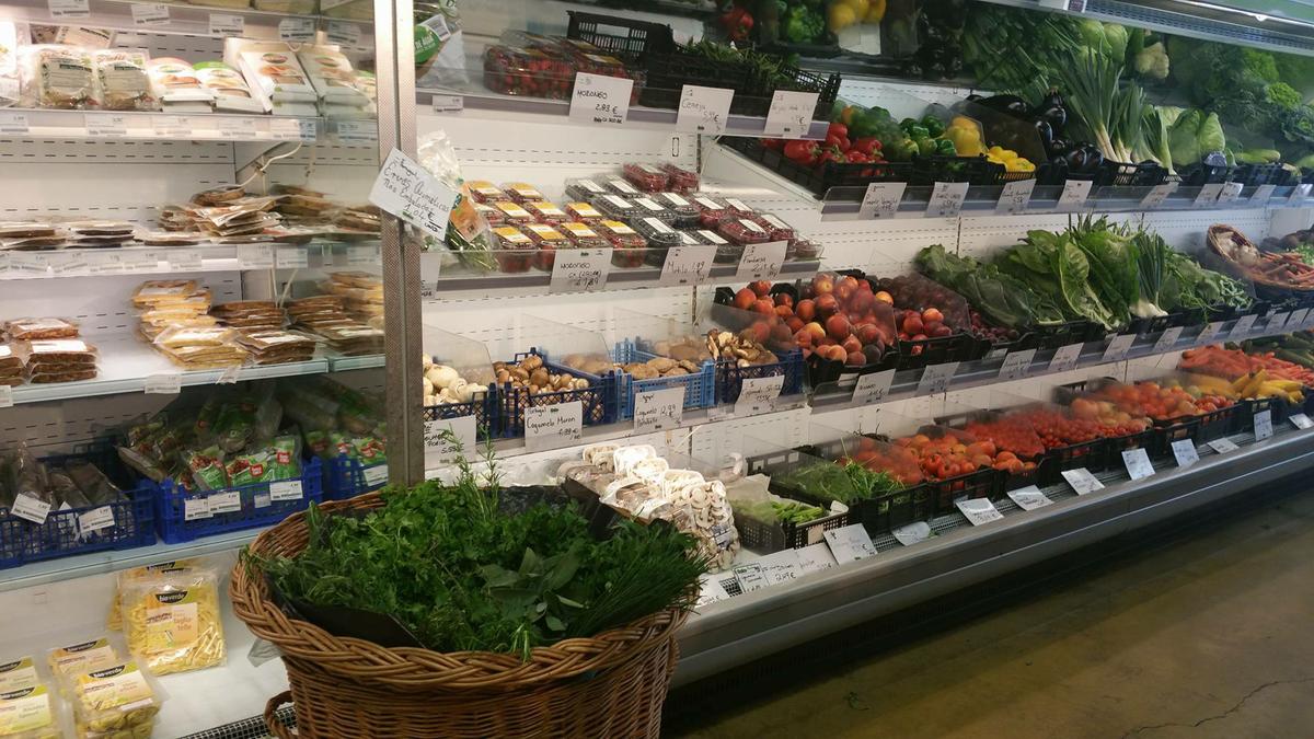 13694255_10210126828192851_642715100_o