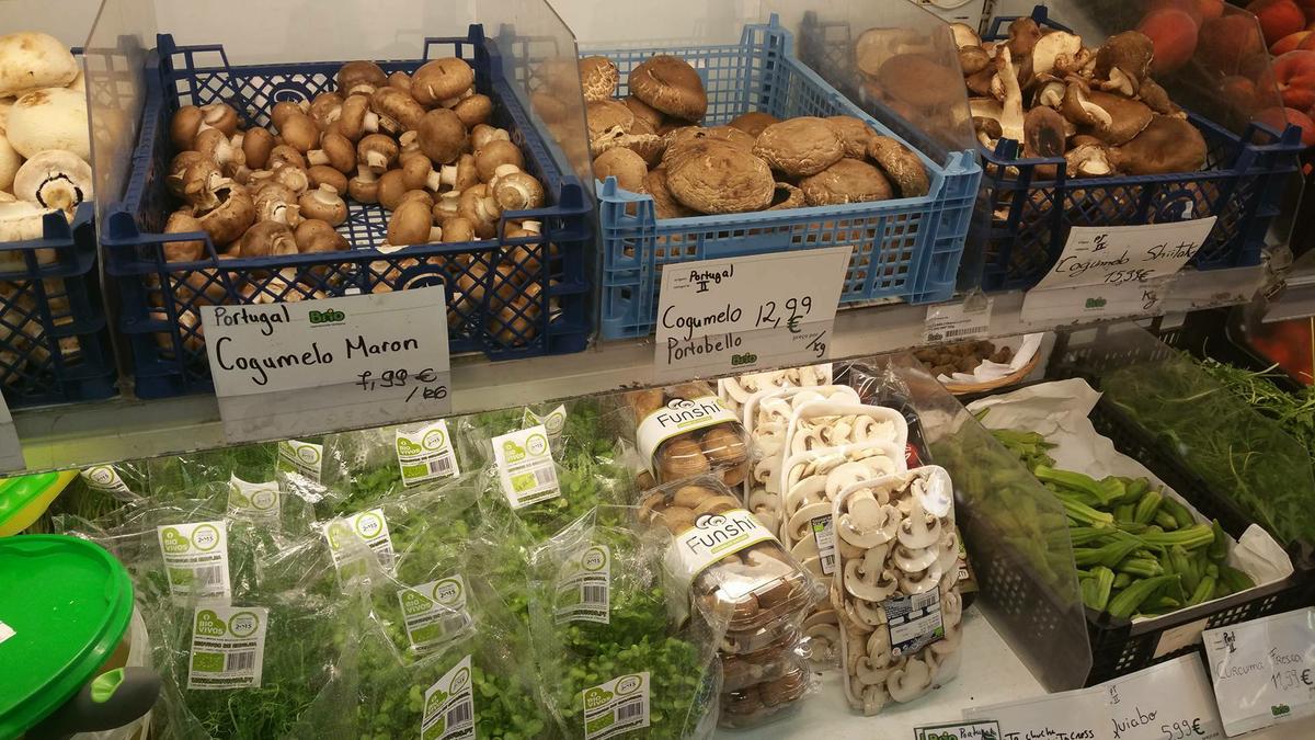 13663453_10210126827352830_378135258_o