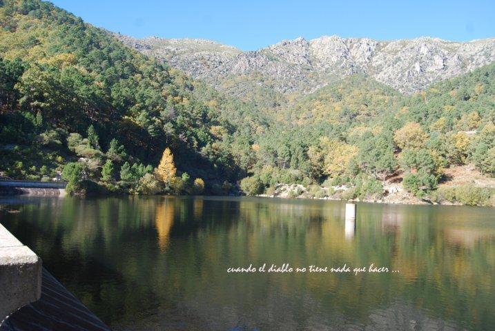 dsc_0135-fileminimizer