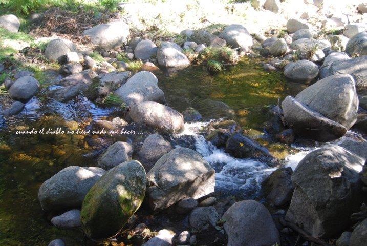 dsc_0090-fileminimizer