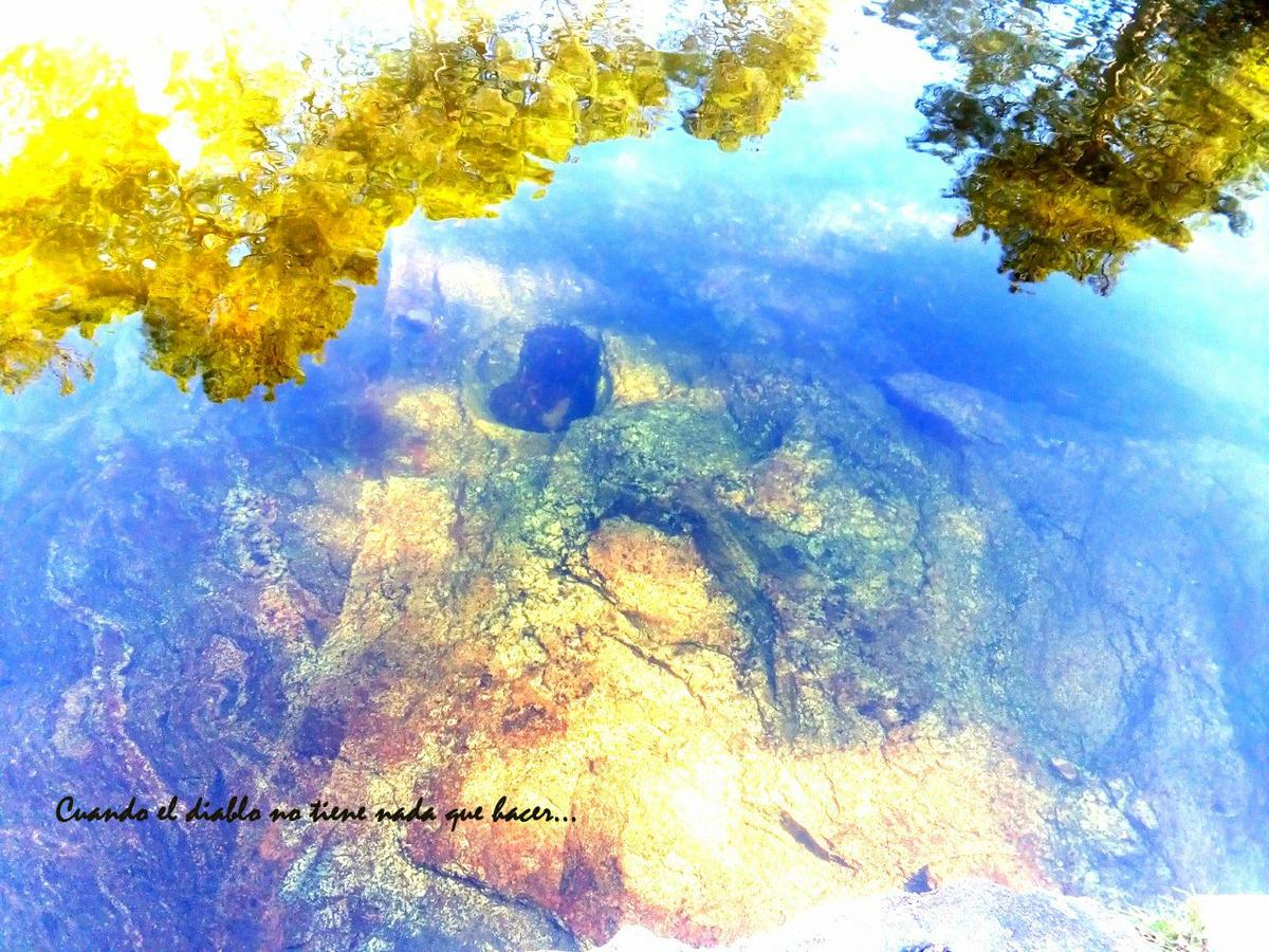 charca-de-la-nieta-2