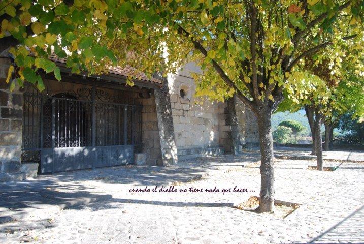 dsc_0025-fileminimizer