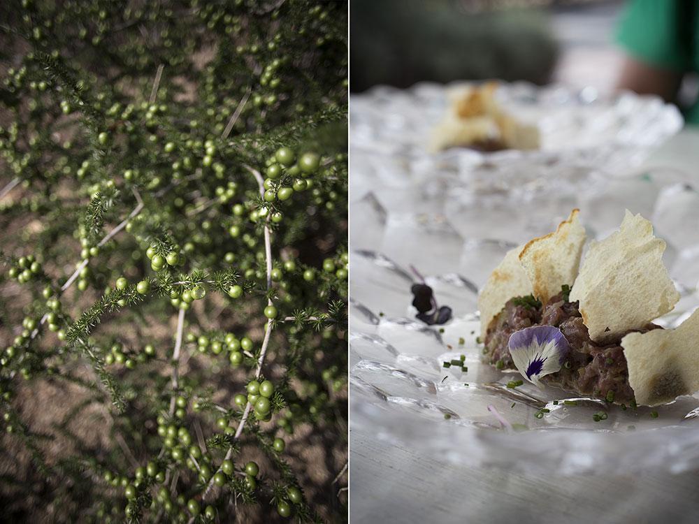 escapada-costa-brava-otono-restaurant-jani-tartar-maria-algara-regas