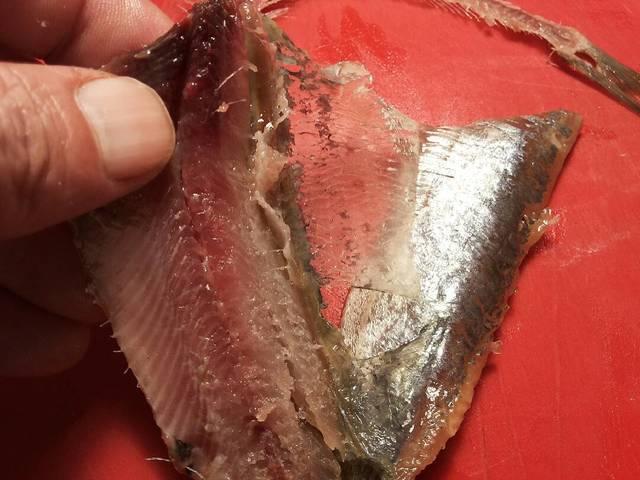 Al darle la vuelta, podéis observar como sale la piel sola con facilidad.