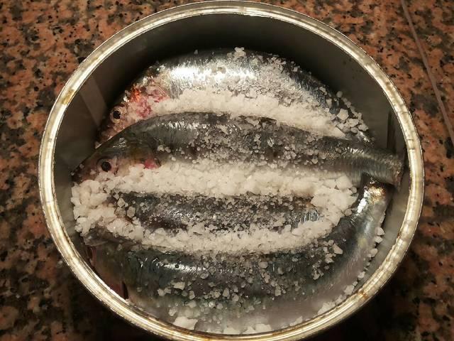 Sardinas marinadas en salazón