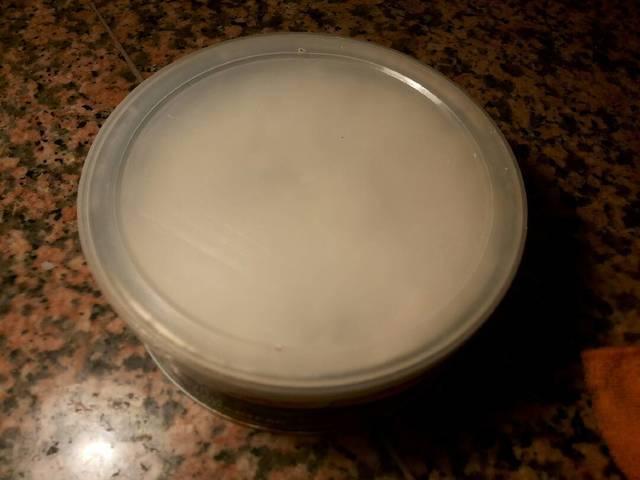 Sardinas marinadas en salazón