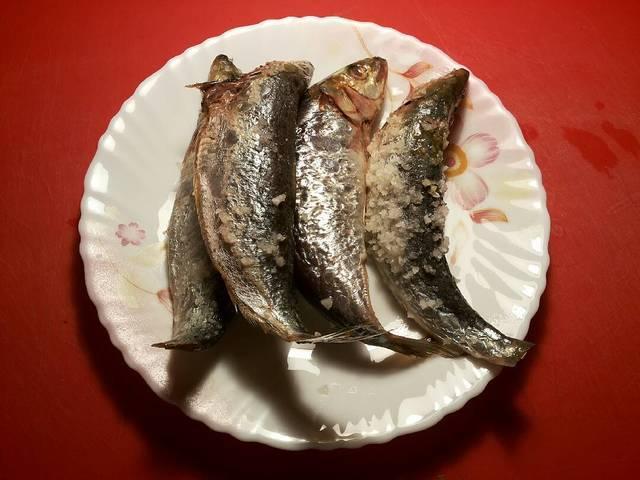 Sardinas marinadas en salazón