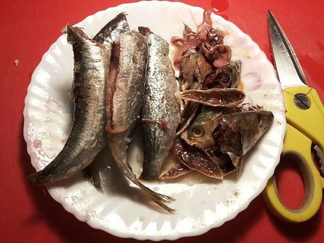 Sardinas marinadas en salazón