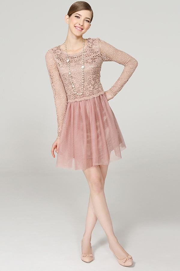 Embroidered-Lace-Long-Sleeve-Dress