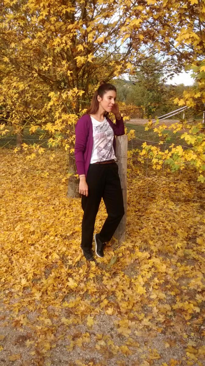 img_20161023_133013505-copia