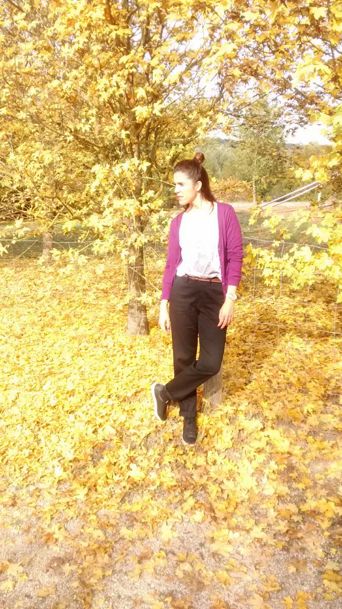 img_20161023_132924812-copia