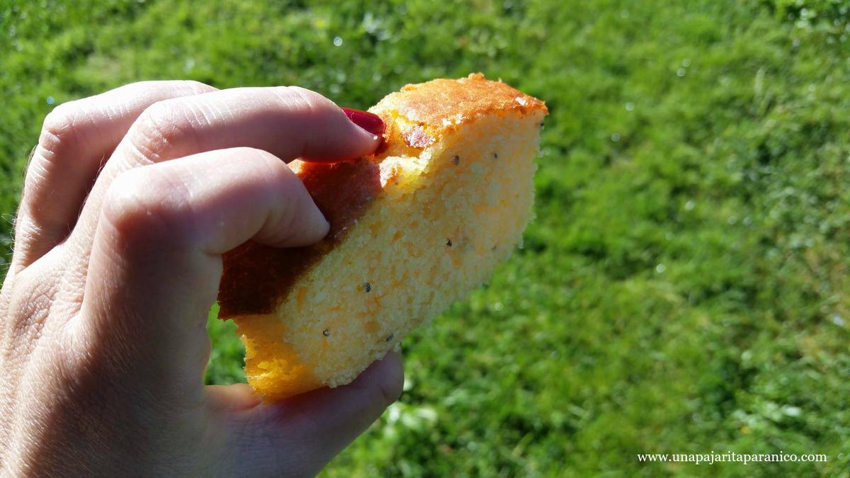 15101842_10211332320609408_1684323412_o