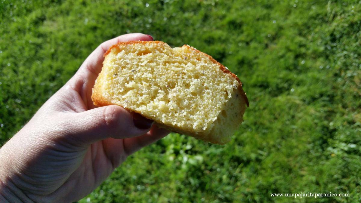 15065012_10211332331849689_875595372_o