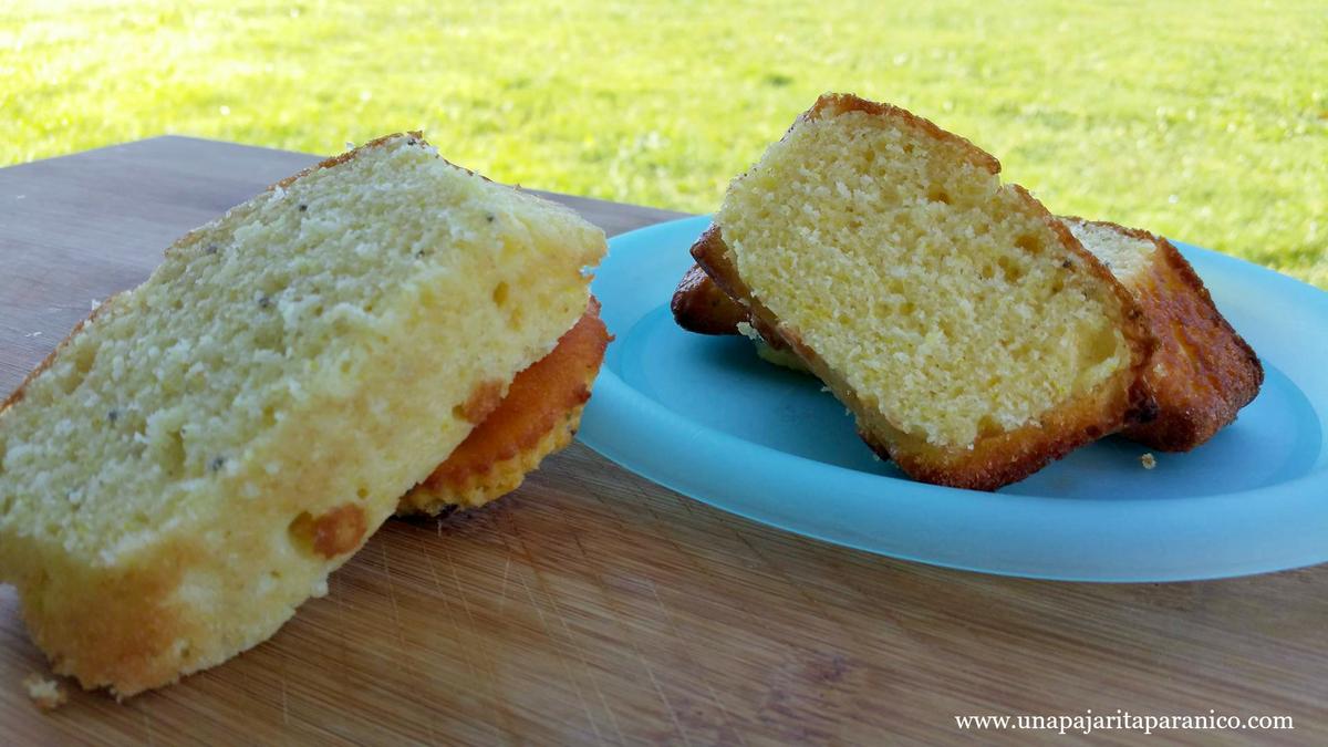 15126287_10211332335929791_640794910_o