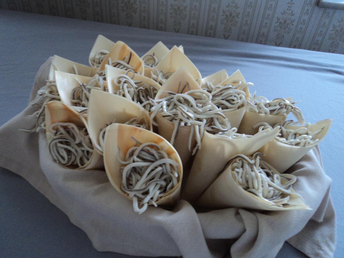 cucuruchos-angulas sucedáneas