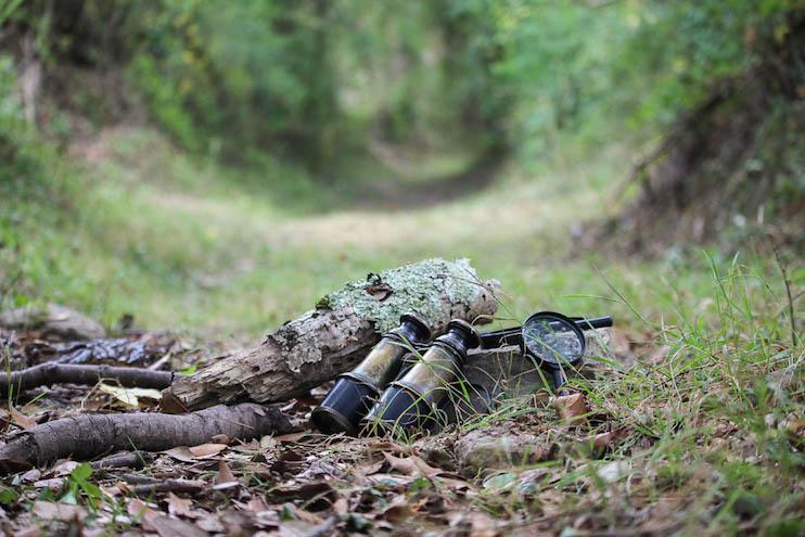 fiesta infantil exploradores