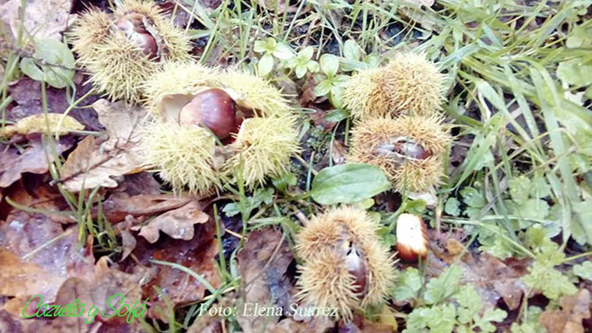 mousse-de-castañas-con-chocolate