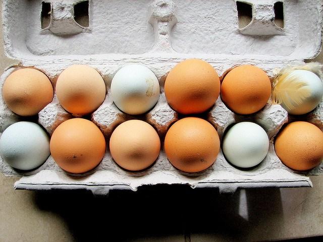 huevos de gallina para la diabetes