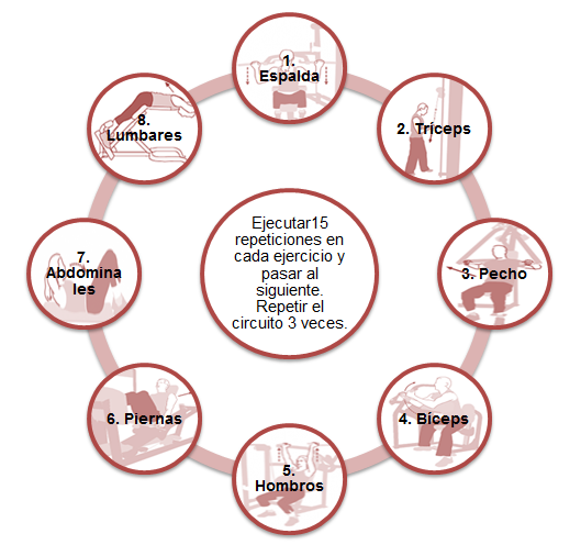entrenamiento-circuito